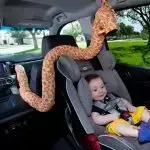 The Noggle is shown keeping a child cool